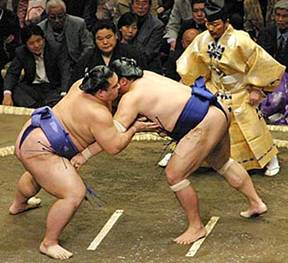 Two equal SUMO wrestlers